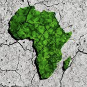 Changement climatique